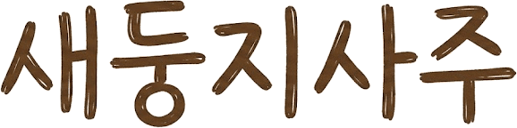 새둥지사주