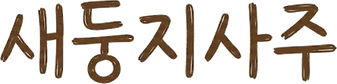 새둥지사주